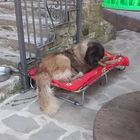 Ca Di Barcola Mulazzo