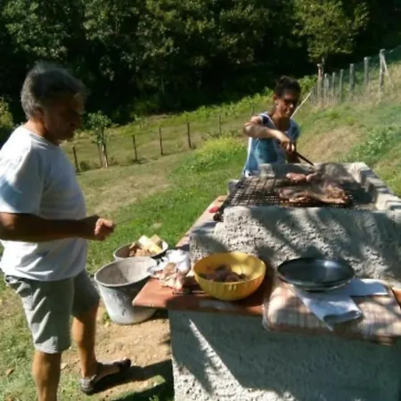 Ca Di Barcola Bed & Breakfast *